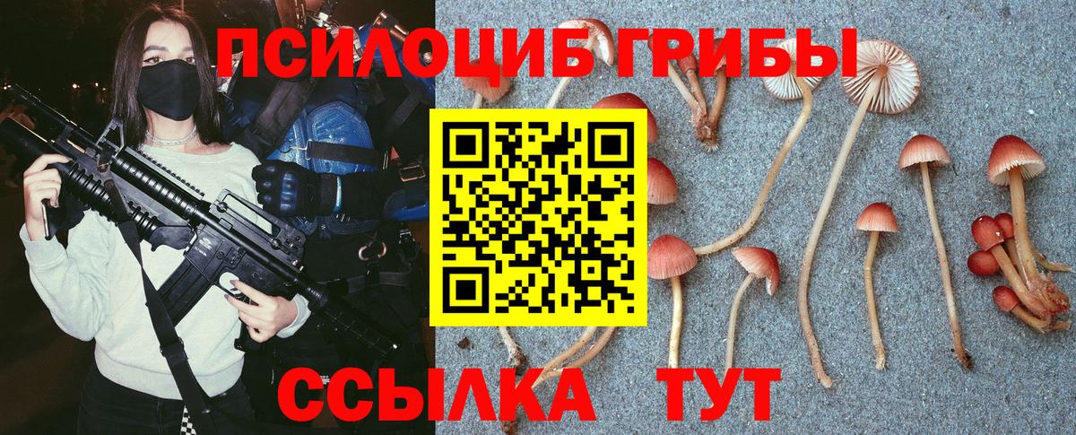 Псилоцибиновые грибы MAGIC MUSHROOMS  Вход с VPN  Анапа 