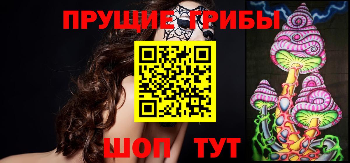 Псилоцибиновые грибы Psilocybe Анапа