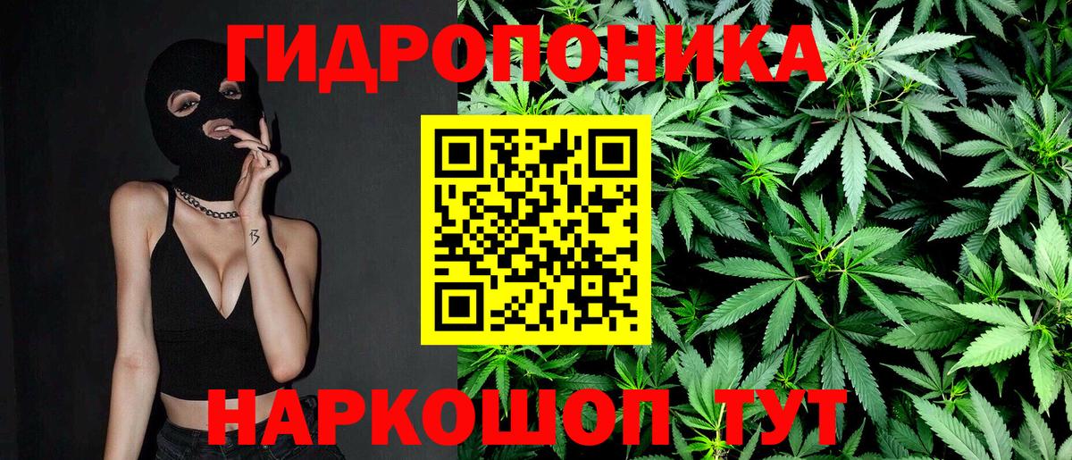 МАРИХУАНА конопля Анапа